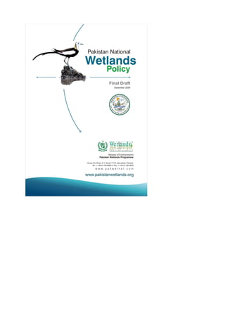DRAFT - National Wetlands Policy 2009