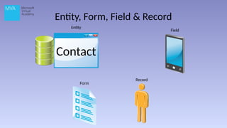 Entity, Form, Field & Record
Form
Field
Record
Contact
Entity
 