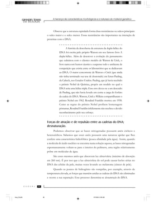 A herança de características morfológicas e a natureza do material genético
969696
GRANDES TEMAS
EM BIOLOGIA
C E D E R J
EM BIOLOGIA
Observe que a estrutura espiralada forma duas reentrâncias ou sulcos principais:
o sulco maior e o sulco menor. Essas reentrâncias são importantes na interação de
proteínas com o DNA.
Forças de atração e de repulsão entre as cadeias do DNA;
desnaturação.
Podemos observar que as bases nitrogenadas possuem anéis cíclicos e
heterocíclicos. Sabemos que esses anéis possuem uma natureza apolar que lhes
confere uma característica hidrofóbica (pouca afinidade pela água). Assim, quando
a molécula do ácido nucléico se encontra numa solução aquosa, as bases nitrogenadas
espontaneamente voltam-se para o interior do polímero, uma região relativamente
pobre em moléculas de água.
São esses mesmos anéis que absorvem luz ultravioleta (máximo de absorção
em 260 nm). É por isso que a luz ultravioleta do sol pode causar lesões sérias no
DNA das células da pele, muitas vezes levando ao melanoma (câncer de pele).
Quando as pontes de hidrogênio são rompidas, por exemplo, através de
temperatura elevada, as forças que mantêm unidas as cadeias do DNA são eliminadas
e ocorre a sua separação. Esse processo denomina-se desnaturação do DNA.
A história da descoberta da estrutura da dupla-hélice do
DNA foi escrita pelo próprio Watson em seu famoso livro A
dupla-hélice. Além de descrever a evolução do pensamento
que culminou com o clássico modelo de Watson & Crick, o
livro narra com humor cáustico e suspense todo o ambiente de
competição que existia entre os laboratórios que se dedicavam
ao DNA. O maior concorrente de Watson e Crick (que ainda
não tinha terminado sua tese de doutorado) era Linus Pauling,
da Caltech, nos Estados Unidos. Pauling, que já havia recebido
o prêmio Nobel de Química, propôs um modelo no qual o
DNA teria uma hélice tripla. Esse erro deveu-se a um descuido
de Pauling, que não havia levado em conta a carga do fosfato
da cadeia do DNA. Watson, Crick e Wilkins compartilharam o
prêmio Nobel em 1962. Rosalind Franklin morreu em 1958.
Como as regras do prêmio Nobel proíbem homenagens
póstumas, Rosalind Franklin infelizmente não recebeu o devido
reconhecimento pelo seu esforço.
○ ○ ○ ○ ○ ○ ○ ○ ○ ○ ○ ○ ○ ○ ○ ○ ○ ○ ○ ○ ○ ○ ○ ○ ○ ○ ○ ○ ○ ○ ○ ○ ○ ○ ○ ○
○ ○ ○ ○ ○ ○ ○ ○ ○ ○ ○ ○ ○ ○ ○ ○ ○ ○ ○ ○ ○ ○ ○ ○ ○ ○ ○ ○ ○ ○ ○ ○ ○ ○ ○ ○
Aula_05.p65 5/7/2004, 8:06 AM96
 