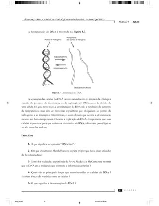 A herança de características morfológicas e a natureza do material genético
C E D E R J
MÓDULO 1 - AULA 5
97
A desnaturação do DNA é mostrada na Figura 5.7.
A separação das cadeias do DNA ocorre naturalmente no interior da célula por
ocasião do processo de biossíntese, ou de replicação do DNA, antes da divisão de
uma célula. Só que, nesse caso, a desnaturação do DNA não é resultado de aumento
de temperatura, mas sim de proteínas específicas que bloqueiam as pontes de
hidrogênio e as interações hidrofóbicas, e assim deixam que ocorra a desnaturação
mesmo em baixa temperatura. Durante a replicação do DNA, é importante que suas
cadeias separem-se para que o sistema enzimático da DNA polimerase possa ligar-se
a cada uma das cadeias.
Exercícios
1- O que significa a expressão “DNA lixo” ?
2- Em que observação Mendel baseou-se para propor que havia duas unidades
de hereditariedade?
3- Como foi realizada a experiência de Avery, MacLeod e McCarty para mostrar
que o DNA era a molécula que continha a informação genética ?
4- Quais são as principais forças que mantêm unidas as cadeias do DNA ?
Existem forças de repulsão entre as cadeias ?
5- O que significa a desnaturação do DNA ?
Figura 5.7: Desnaturação do DNA.
Aula_05.p65 5/7/2004, 8:06 AM97
 