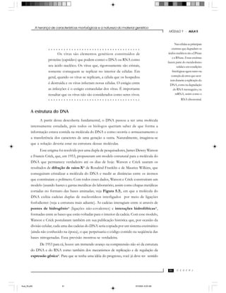 A herança de características morfológicas e a natureza do material genético
C E D E R J
MÓDULO 1 - AULA 5
91
A estrutura do DNA
A partir dessa descoberta fundamental, o DNA passou a ser uma molécula
intensamente estudada, pois todos os biólogos queriam saber de que forma a
informação estava contida na molécula do DNA e como ocorria o armazenamento e
a transferência dos caracteres de uma geração a outra. Naturalmente, imaginou-se
que a solução deveria estar na estrutura dessas moléculas.
Esse enigma foi resolvido por uma dupla de pesquisadores, James Dewey Watson
e Francis Crick, que, em 1953, propuseram um modelo estrutural para a molécula do
DNA que permanece verdadeiro até os dias de hoje. Watson e Crick usaram os
resultados de difração de raios-X* de Rosalind Franklin e de Maurice Wilkins, que
conseguiram cristalizar a molécula do DNA e medir as distâncias entre os átomos
que constituíam o polímero. Com todos esses dados, Watson e Crick construíram um
modelo (usando hastes e garras metálicas do laboratório, assim como chapas metálicas
cortadas no formato das bases aminadas; veja Figura 5.3), em que a molécula do
DNA exibia cadeias duplas de nucleotídeos interligados por meio de ligações
fosfodiester (veja a estrutura mais adiante). As cadeias interagiam entre si através de
pontes de hidrogênio* (ligações não-covalentes) e interações hidrofóbicas*,
formadas entre as bases que estão voltadas para o interior da cadeia. Com esse modelo,
Watson e Crick postularam também em sua publicação histórica que, por ocasião da
divisão celular, cada uma das cadeias do DNA seria copiada por um sistema enzimático
(ainda não conhecido na época), o que perpetuaria o código contido na seqüência das
bases nitrogenadas. Essa previsão mostrou-se verdadeira.
De 1953 para cá, houve um tremendo avanço na compreensão não só da estrutura
do DNA e do RNA como também dos mecanismos de replicação e de regulação da
expressão gênica*. Para que se tenha uma idéia do progresso, você já deve ter sentido
Nascélulasasprincipais
enzimas que degradam os
ácidosnucléicossãoaDNase
e a RNase. Essas enzimas
fazem parte do metabolismo
celulareemcondições
fisiológicasagemtantona
correçãodeerrosqueocor-
remduranteareplicaçãodo
DNA,comonadegradação
do RNA mensageiro, ou
mRNA, assim como o
RNA ribossomal.
Os vírus são elementos genéticos constituídos de
proteína (capsídeo) que podem conter o DNA ou RNA como
seu ácido nucléico. Os vírus que, rigorosamente são cristais,
somente conseguem se replicar no interior de células. Em
geral, quando os vírus se replicam, a célula que os hospedou
é destruída e os vírus infectam novas células. O estágio entre
as infecções é o estágio extracelular dos vírus. É importante
ressaltar que os vírus não são considerados como seres vivos.
○ ○ ○ ○ ○ ○ ○ ○ ○ ○ ○ ○ ○ ○ ○ ○ ○ ○ ○ ○ ○ ○ ○ ○ ○ ○ ○ ○ ○ ○ ○ ○ ○ ○ ○ ○
○ ○ ○ ○ ○ ○ ○ ○ ○ ○ ○ ○ ○ ○ ○ ○ ○ ○ ○ ○ ○ ○ ○ ○ ○ ○ ○ ○ ○ ○ ○ ○ ○ ○ ○ ○
Aula_05.p65 5/7/2004, 8:05 AM91
 