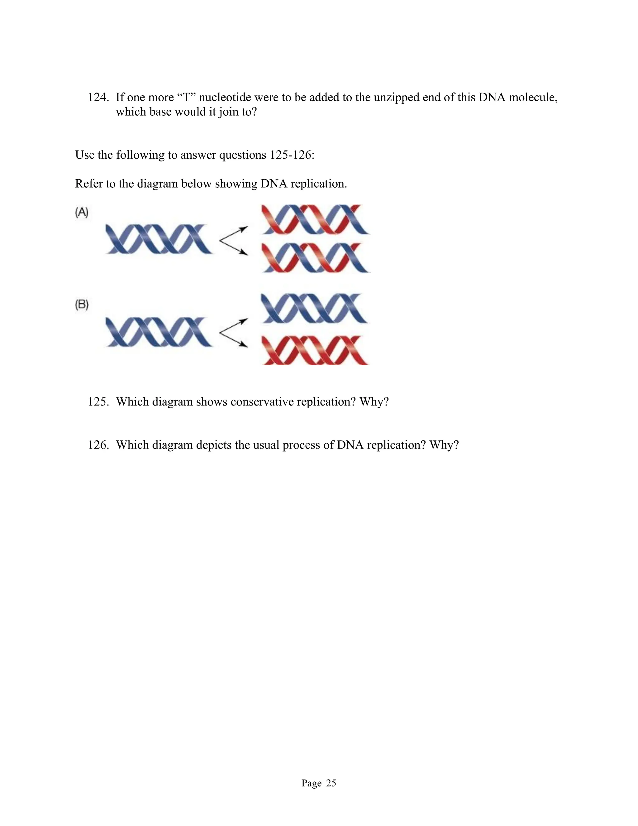 Page 25
124. If one more “T” nucleotide were to be added to the unzipped end of this DNA molecule,
which base would it join to?
Use the following to answer questions 125-126:
Refer to the diagram below showing DNA replication.
125. Which diagram shows conservative replication? Why?
126. Which diagram depicts the usual process of DNA replication? Why?
 