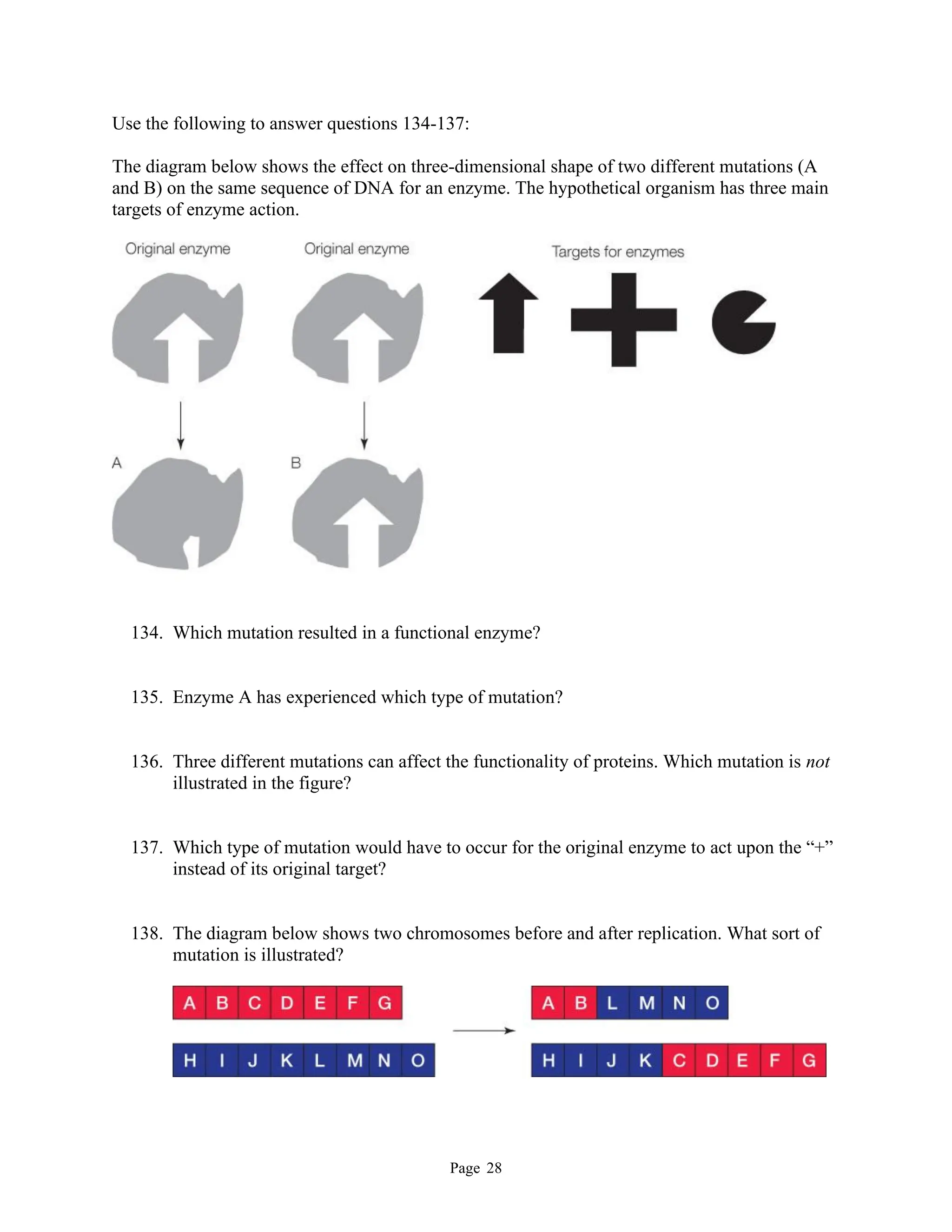 Page 28
Use the following to answer questions 134-137:
The diagram below shows the effect on three-dimensional shape of two different mutations (A
and B) on the same sequence of DNA for an enzyme. The hypothetical organism has three main
targets of enzyme action.
134. Which mutation resulted in a functional enzyme?
135. Enzyme A has experienced which type of mutation?
136. Three different mutations can affect the functionality of proteins. Which mutation is not
illustrated in the figure?
137. Which type of mutation would have to occur for the original enzyme to act upon the “+”
instead of its original target?
138. The diagram below shows two chromosomes before and after replication. What sort of
mutation is illustrated?
 