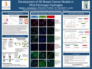 Development of 3D Breast Cancer Models in
PEG-Fibrinogen Hydrogels
Kelsey L. Henderson, Shantanu Pradhan, Dr. Elizabeth A. Lipke
Department of Chemical Engineering, Auburn University, Auburn, AL
Background & Significance
2D Cell Culture vs 3D Cell Culture
• PEG-Fibrinogen was established as a novel biomaterial for 3D
breast cancer cell culture.
• EMT markers and integrins were differentially expressed in 3
breast cancer cell lines.
• Morphological characteristics of breast cancer cells were
quantified.
• By creating an improved in vitro model, tumorigenic phenomena
can be investigated and anti-cancer drug efficacy can be tested.
Hoechst &
Phalloidin:
Indicators of cell
morphology and structure.
Shows nuclei and actin
filaments.
Ki67:
Prognostic marker of
breast cancer
progression. Shows
cell proliferation.
Vimentin:
Shows progression
towards invasive
morphology. MDA-MB-231
exhibits this marker as a
result of its mesenchymal
morphology.
E-Cadherin:
Native luminal mammary
tissue marker. MCF-7
exhibits this marker as a
result of its epithelial
morphology.
αvβ3 integrin:
Expressed when
cancer cells bind to
fibrinogen.
Overexpressed in
MDA-MB-231 cells.
β1 integrin:
Signal of malignant cancer
progression. Nuclear
expression in MCF-7 &
SK-BR-3 vs. cytoplasmic
expression in
MDA-MB-231.
MCF-7
(ER+, PR+)
SK-BR-3
(HER2+)
MDA-MB-231
(TNBC)
2D Culture
• Cells grow in flat
monolayer
• Easy to culture,
observe, and
analyze
• Does not
accurately
represent
physiological
environment
3D Culture
• Cells grown in
aggregate colonies
• Difficult to study
and analyze
• More closely
represents native
environment
EMT & Integrin Expression in Breast Cancer Cells Morphological Quantification
Conclusions
Breast cancer is the most common cancer in women. Over 200,000 women are diagnosed and over 40,000
killed per year in the United States. In the recent years, the ratio of deaths to new cases of breast cancer
has steadily declined. This is due in part to early detection, but is also a product of increased breast cancer
research that has lead to more effective treatment. In order to efficiently study cancer behavior and to test
newly developed drugs, a system that imitates natural environment and tissues in the body must be
developed. Here, cancer cells were encapsulated in 3-dimensional hydrogels that mimic the body’s natural
environment. The development of novel methods of in vitro models helps to identify invasive cancer
behavior as well as test the efficacy of new anti-cancer drugs. When studying behavior of cancer, one
aspect of particular interest is the epithelial and mesenchymal morphologies.
Epithelial cells exhibit normal morphology of healthy cells. The cells have tight cell-cell junctions and are
mostly stationary. Mesenchymal cells are elongated in structure and do not adhere to each other, allowing
them to move about much more freely. It is this morphology that characterizes very aggressive cancer cells.
The transition of cells from epithelial morphology to mesenchymal morphology is called the EMT: epithelial-
mesenchymal-transition, which is also widely studied.
http://www.keep-a-breast.org/get-
educated/cancer-facts/
http://keionline.org/node/1042
Acknowledgements
1. Auburn University Cellular and Molecular Biosciences
2. Auburn University Research In Cancer
HER2+
Luminal B HER2+
Luminal A Basal-like
“TNBC”
ER+, PR+ ER-, PR-
Types of Breast Cancer
Ratio of Deaths to New Cases of
Breast Cancer in the United States
Biomimetic Material:
PEG-Fibrinogen
Fibrinogen promotes tumorogenesis
and angiogenic growth
PEGDA provides stiffness and
architectural support
Begin with
isolated
cancer cells
Hydrogel
precursor is
added
Precursor and
cells added to
PDMS mold
and cross-
linked with
visible light
Hydrogel
encapsulated cancer
cells maintained in
culture for 15 days
Hydrogel Formation Procedure:
Experimental Plan:
• Encapsulate 3 different breast cancer cell lines in hydrogels
• Observe and record morphological quantification data over a period of 15 days.
• Perform immunostaining to observe cell structure, epithelial-mesenchymal transition,
and various integrins.
A B B C C C
MCF-7 (ER+, PR+)
A B B B B B
MDA-MB-231
(TNBC)
A B C C C C
SK-BR-3 (HER2+)
A B C D D D
MCF-7 (ER+, PR+)
A B B B B B
MDA-MB-231 (TNBC)
A B C C C C
SK-BR-3 (HER2+)
Seliktar et al. Biomaterials 2005. May 26 (15). Volume 26. Issue 15
Colony area increases with time
Colony diameter increases with time
Colony circularity decreases with time
Images of MCF-7, MDA-MB-231, and SK-BR-3 taken every three days for fifteen days after encapsulation
showed an increase in colony area with time followed by a period of constant area. Comparison of the three cell
lines showed a more rapid increase in the area of MCF-7.
Images of the same cell lines for the same amount of time also showed an increase in colony diameter over
time followed by a period of constant diameter. MCF-7 still shows the fastest increase.
Measurement of circularity showed a steady decrease in circularity that is relatively similar among the three test
cell lines.
Colony area, diameter, and circularity are indicators of aggressiveness of cancer cells. As colony area and
diameter increase, and circularity decreases, the cells become larger, with a more elongated shape, thus
invading into surrounding tissues. Images were taken and these morphological characteristics were quantified.
The letters above the dot plots show the statistical analysis.
A B BC BC CD D
MCF-7 (ER/PR+)
A B B B C C
SK-BR-3 (HER2+)
A B BC BC BC C
MDA-MB-231 (TNBC)
 
