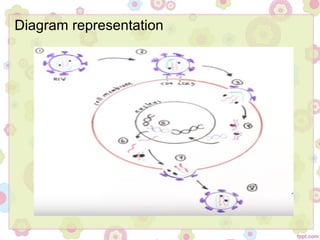Diagram representation
 