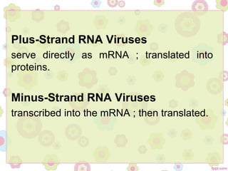 Plus-Strand RNA Viruses
serve directly as mRNA ; translated into
proteins.
Minus-Strand RNA Viruses
transcribed into the mRNA ; then translated.
 