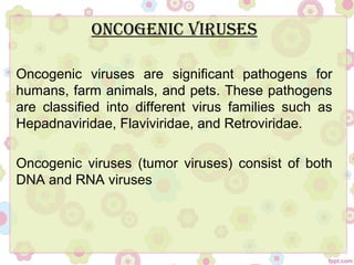 OncOgenic Viruses
Oncogenic viruses are significant pathogens for
humans, farm animals, and pets. These pathogens
are classified into different virus families such as
Hepadnaviridae, Flaviviridae, and Retroviridae.
Oncogenic viruses (tumor viruses) consist of both
DNA and RNA viruses
 