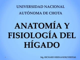 UNIVERSIDAD NACIONAL
AUTÓNOMA DE CHOTA
ANATOMÍA Y
FISIOLOGÍA DEL
HÍGADO
Mg. RICHARD HERNANDEZ FIESTAS
 