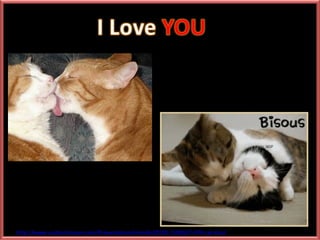 http://www.authorstream.com/Presentation/mireille30100-1583657-474-cat-kiss/
 