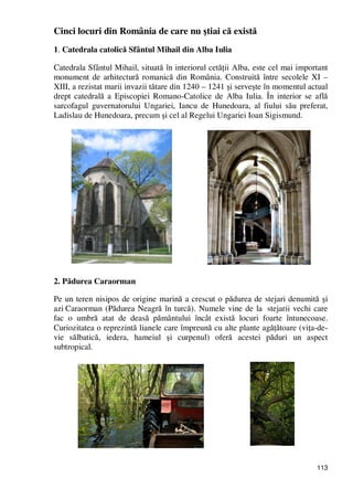 113
Cinci locuri din România de care nu ştiai că există
1. Catedrala catolică Sfântul Mihail din Alba Iulia
Catedrala Sfântul Mihail, situată în interiorul cetăŃii Alba, este cel mai important
monument de arhitectură romanică din România. Construită între secolele XI –
XIII, a rezistat marii invazii tătare din 1240 – 1241 şi serveşte în momentul actual
drept catedrală a Episcopiei Romano-Catolice de Alba Iulia. În interior se află
sarcofagul guvernatorului Ungariei, Iancu de Hunedoara, al fiului său preferat,
Ladislau de Hunedoara, precum şi cel al Regelui Ungariei Ioan Sigismund.
2. Pădurea Caraorman
Pe un teren nisipos de origine marină a crescut o pădurea de stejari denumită şi
azi Caraorman (Pădurea Neagră în turcă). Numele vine de la stejarii vechi care
fac o umbră atat de deasă pământului încât există locuri foarte întunecoase.
Curiozitatea o reprezintă lianele care împreună cu alte plante agăŃătoare (viŃa-de-
vie sălbatică, iedera, hameiul şi curpenul) oferă acestei păduri un aspect
subtropical.
 