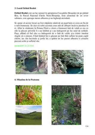 114
3. Lacul Ochiul Beului
Ochiul Beului este un lac natural în apropierea Cascadelor BeuşniŃei de pe pârâul
Beu, în Parcul NaŃional Cheile Nerei-BeuşniŃa. Este alimentat de un izvor
submers, este aproape mereu albastru şi nu îngheaŃă niciodată.
Se spune că aceste locuri au fost stăpânite odată de un paşă hain ce avea un fiu de
o rară frumuseŃe. Se zice că ochii acestuia erau atât de albaştri încât te pierdeai în
ei. Aflat la vânătoare în Poiana Florii a văzut o frumoasă fată de valah ce era cu
oile la păscut: privirile li s-au întâlnit şi s-au îndragostit pe loc unul de celălalt.
Paşa, aflând că fiul său s-a îndragostit de o fată de valah, şi-a trimis imediat
slugile să o omoare. Când tânărul bei o găseşte pe fată fără suflare îşi pune capăt
zilelor, iar, din lacrimile şi jertfa lui, a apărut un lac pururi albastru si cristalin
precum ochii şi sufletul său.
44.864287 21.213541
4. Mlaştina de la Peşteana
 