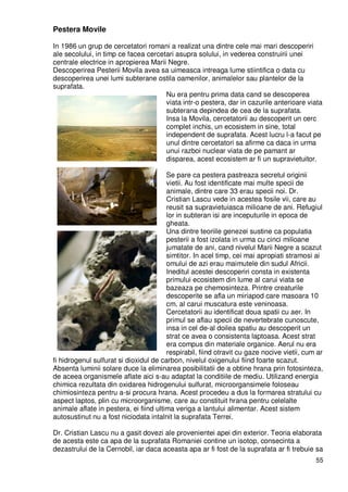 55
Pestera Movile
In 1986 un grup de cercetatori romani a realizat una dintre cele mai mari descoperiri
ale secolului, in timp ce facea cercetari asupra solului, in vederea construirii unei
centrale electrice in apropierea Marii Negre.
Descoperirea Pesterii Movila avea sa uimeasca intreaga lume stiintifica o data cu
descoperirea unei lumi subterane ostila oamenilor, animalelor sau plantelor de la
suprafata.
Nu era pentru prima data cand se descoperea
viata intr-o pestera, dar in cazurile anterioare viata
subterana depindea de cea de la suprafata.
Insa la Movila, cercetatorii au descoperit un cerc
complet inchis, un ecosistem in sine, total
independent de suprafata. Acest lucru l-a facut pe
unul dintre cercetatori sa afirme ca daca in urma
unui razboi nuclear viata de pe pamant ar
disparea, acest ecosistem ar fi un supravietuitor.
Se pare ca pestera pastreaza secretul originii
vietii. Au fost identificate mai multe specii de
animale, dintre care 33 erau specii noi. Dr.
Cristian Lascu vede in acestea fosile vii, care au
reusit sa supravietuiasca milioane de ani. Refugiul
lor in subteran isi are inceputurile in epoca de
gheata.
Una dintre teoriile genezei sustine ca populatia
pesterii a fost izolata in urma cu cinci milioane
jumatate de ani, cand nivelul Marii Negre a scazut
simtitor. In acel timp, cei mai apropiati stramosi ai
omului de azi erau maimutele din sudul Africii.
Ineditul acestei descoperiri consta in existenta
primului ecosistem din lume al carui viata se
bazeaza pe chemosinteza. Printre creaturile
descoperite se afla un miriapod care masoara 10
cm, al carui muscatura este veninoasa.
Cercetatorii au identificat doua spatii cu aer. In
primul se aflau specii de nevertebrate cunoscute,
insa in cel de-al doilea spatiu au descoperit un
strat ce avea o consistenta laptoasa. Acest strat
era compus din materiale organice. Aerul nu era
respirabil, fiind otravit cu gaze nocive vietii, cum ar
fi hidrogenul sulfurat si dioxidul de carbon, nivelul oxigenului fiind foarte scazut.
Absenta luminii solare duce la eliminarea posibilitatii de a obtine hrana prin fotosinteza,
de aceea organismele aflate aici s-au adaptat la conditiile de mediu. Utilizand energia
chimica rezultata din oxidarea hidrogenului sulfurat, microorgansimele foloseau
chimiosinteza pentru a-si procura hrana. Acest procedeu a dus la formarea stratului cu
aspect laptos, plin cu microorganisme, care au constituit hrana pentru celelalte
animale aflate in pestera, ei fiind ultima veriga a lantului alimentar. Acest sistem
autosustinut nu a fost niciodata intalnit la suprafata Terrei.
Dr. Cristian Lascu nu a gasit dovezi ale provenientei apei din exterior. Teoria elaborata
de acesta este ca apa de la suprafata Romaniei contine un isotop, consecinta a
dezastrului de la Cernobil, iar daca aceasta apa ar fi fost de la suprafata ar fi trebuie sa
 