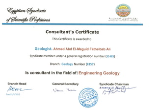 consultant certificate