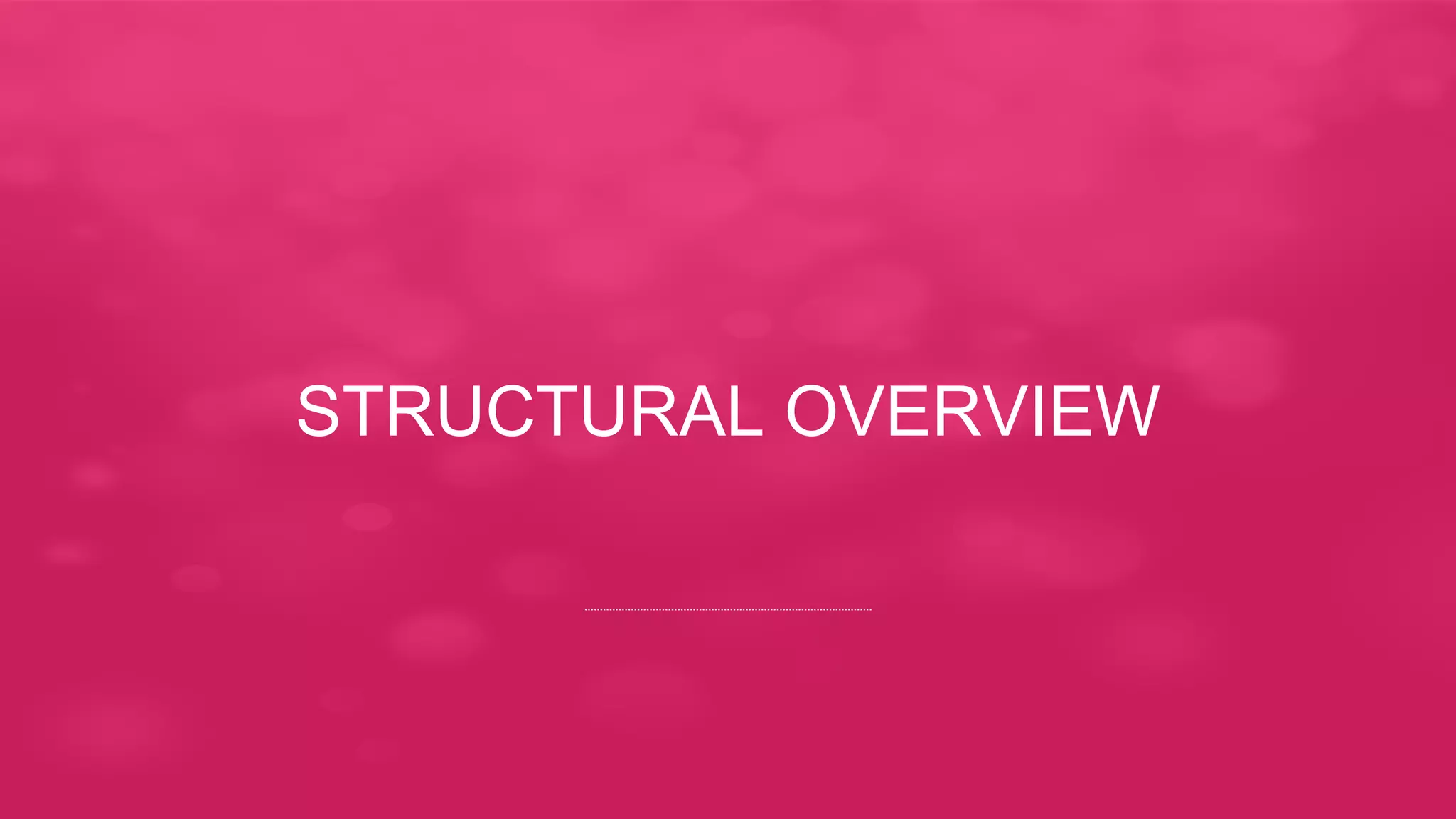 STRUCTURAL OVERVIEW
 
