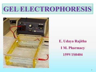 GEL ELECTROPHORESIS
E. Udaya Rajitha
I M. Pharmacy
159V1S0404
1
 