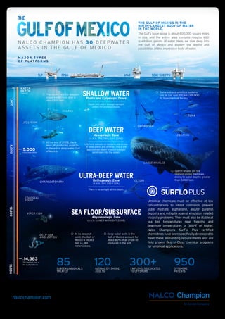 The Gulf’s basin alone is about 600,000 square miles
in size, and the entire area contains roughly 660
quadrillion gallons of water. Here, we dive deep into
the Gulf of Mexico and explore the depths and
possibilities of this impressive body of water.
N A LCO C H A M P I O N H AS 30 D E E PWAT E R
ASS E TS I N T H E G U L F O F M E X I CO
THE GULF OF MEXICO IS THE
NINTH-LARGEST BODY OF WATER
IN THE WORLD.
Some sub-sea umbilical systems
can be just over 100 km (328,000
ft) from the host facility.
Depth into which enough sunlight
enters for photosynthesis.
SHALLOW WATERPhotic and Epipelagic Zones
Life here subsists on bacteria and scraps
of dead plants and animals. This is the
approximate depth to which sunlight
penetrates into the ocean.
DEEP WATERMesopelagic Zone
(A.K.A. THE TWILIGHT ZONE)
There is no sunlight at this depth.
ULTRA-DEEP WATERBathypelagic Zone
(A.K.A. THE DEEP SEA)
SEA FLOOR/SUBSURFACEAbyssopelagic Zone
(A.K.A. LOWER MIDNIGHT ZONE)
WATER
DEPTH
(feet)
15,0005,0001,00010,000
+14,383
0
Sperm whales are the
deepest-diving mammals,
diving to water depths greater
than 9,000 feet.
The record held for deepest
ocean breath-hold dive is
about 550 feet.
JELLYFISH
SHARKS
TUNA
DOLPHIN
SWORDFISH
LARGE WHALES
COLOSSAL
SQUID
CHAIN CATSHARK OCTOPI
VIPER FISH
DEEP-SEA
ANGLERFISH
At its deepest
point, the Gulf of
Mexico is 14,383
feet (4,384
meters) deep.
At the end of 2008, there
were 141 producing projects
in the entire deep-water Gulf
of Mexico.
TLP
M A J O R T Y P E S
O F P L AT F O R M S
FPSO SEMI-SUB FPUSPAR
Deep-water wells in the
Gulf of Mexico account for
about 80% of all crude oil
produced in the gulf.
Umbilical chemicals must be effective at low
concentrations to inhibit corrosion, prevent
scale, hydrate, asphaltene, and/or parafﬁn
deposits and mitigate against emulsion- related
viscosity problems. They must also be stable at
sea bed temperatures near freezing and
downhole temperatures of 300°F or higher.
Nalco Champion’s SurFlo Plus certiﬁed
chemistries have been speciﬁcally developed to
meet these demanding require-ments and are
ﬁeld proven Best-In-Class chemical programs
for umbilical applications.
85SUBSEA UMBILICALS
TREATED
120GLOBAL OFFSHORE
ASSETS
300+EMPLOYEES DEDICATED
TO OFFSHORE
950OFFSHORE
PATENTS
SURFLOPLUS
Certiﬁed
5,000
Ultra Deep Water
The Deepest part of
the Gulf of Mexico
nalcochampion.com
 