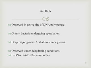 
 Observed in active site of DNA polymerase
 Gram+ bacteria undergoing sporulation.
 Deep major groove & shallow minor groove.
 Observed under dehydrating conditions.
 B-DNAA-DNA (Reversible).
A-DNA
13
 