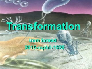 Transformation
Transformation
iram fareed
iram fareed
2015-mphil-1020
2015-mphil-1020
 