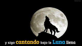 y sigo cantando bajo la Luna llena
 