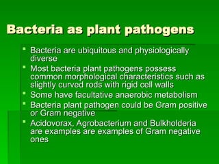 Comprehensive Overview of Pathogenic Bacteria and Plant Disease ...