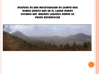 DESPUES DE UNA INVESTIGACION DE CAMPO NOS
   DIMOS CUENTA QUE EN EL LUGAR DONDE
  VIVIMOS HAY MUCHOS LUGARES DONDE SE
            PUEDE REFORESTAR
 