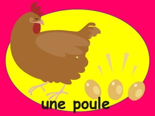 une poule
 
