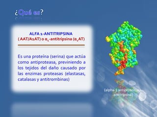 (alpha-1 antiproteinasa,
antitripsina)
ALFA 1-ANTITRIPSINA
( AAT/A1AT) o α1-antitripsina (α1AT)
Es una proteína (serina) que actúa
como antiproteasa, previniendo a
los tejidos del daño causado por
las enzimas proteasas (elastasas,
catalasas y antitrombinas)
 