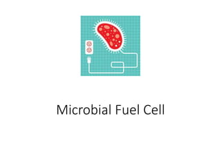 Microbial Fuel Cell
 