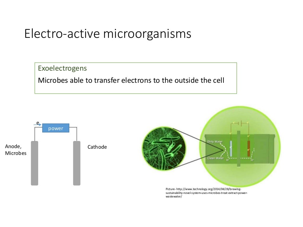 Microbial Fuel Cell
