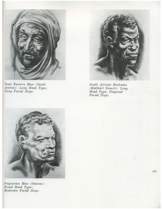  burne-hogarth-drawing-the-human-head