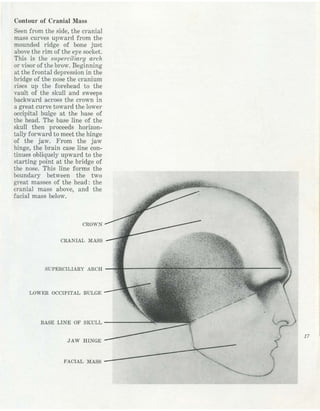  burne-hogarth-drawing-the-human-head