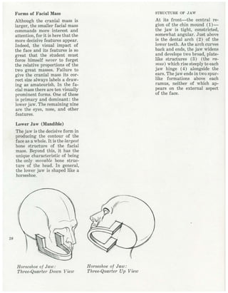  burne-hogarth-drawing-the-human-head