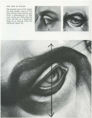  burne-hogarth-drawing-the-human-head