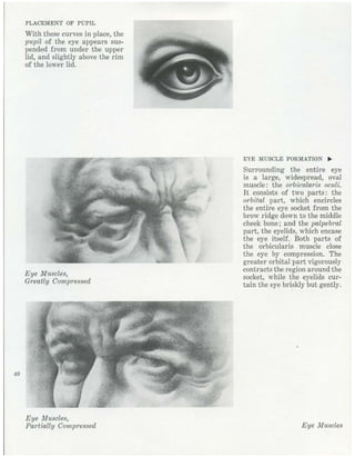  burne-hogarth-drawing-the-human-head