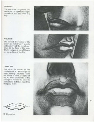  burne-hogarth-drawing-the-human-head