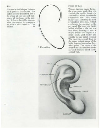  burne-hogarth-drawing-the-human-head