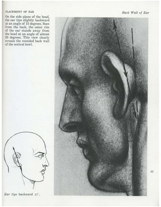  burne-hogarth-drawing-the-human-head