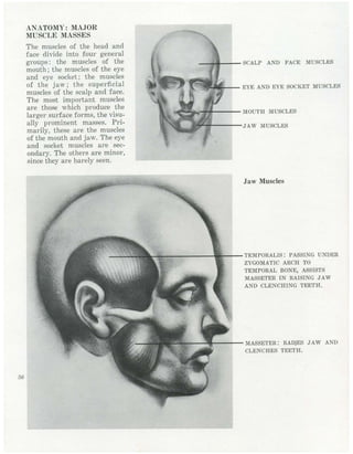  burne-hogarth-drawing-the-human-head
