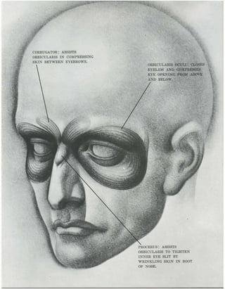  burne-hogarth-drawing-the-human-head