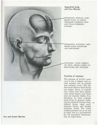  burne-hogarth-drawing-the-human-head