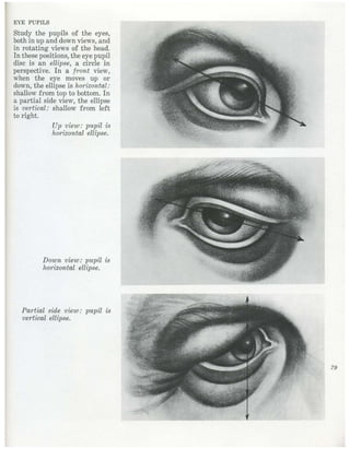  burne-hogarth-drawing-the-human-head