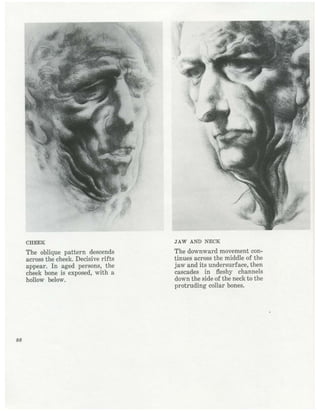  burne-hogarth-drawing-the-human-head