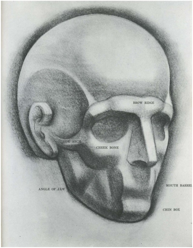 pic Human Face Drawing Base burne hogarth drawing the human head