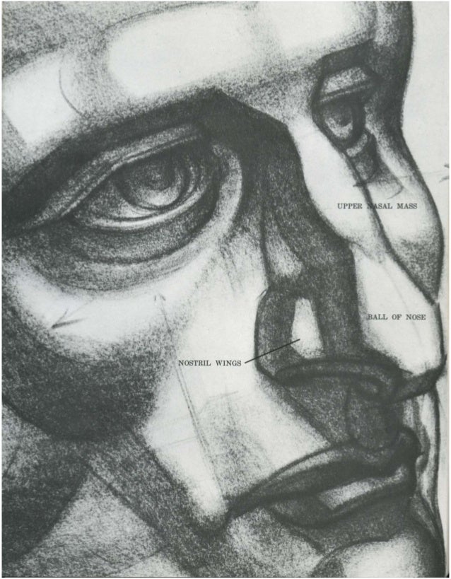 pics Proportions Human Face Drawing Reference burne hogarth drawing the human head