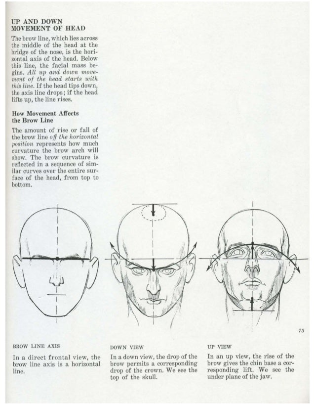 burne-hogarth-drawing-the-human-head
