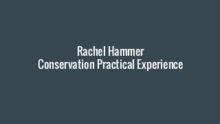 Rachel Hammer
Conservation Practical Experience
 