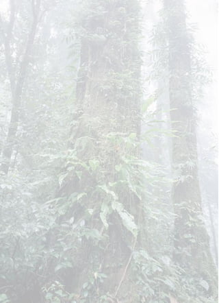 ÊÍ¹µ¹ãËéä´é¡Í¹ ¨Ö§¤èÍÂÊÍ¹¼ÙÍ¹
            è              é è×
 