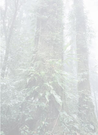 òøö ¸ÃÃÁÊÒ¡Ñ¨©ÒµÒÁ¡ÒÅ
 