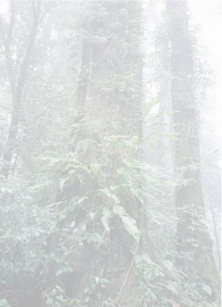 àËµØáËè§¡ÒÃºÇª
 