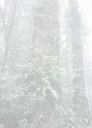 öö áÊÇ§ËÒ¤ÃÙºÒÍÒ¨ÒÃÂì
 